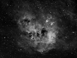 IC410 - Tadpoles Nebula