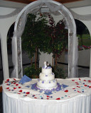 DSC02984 cake table sample copy.jpg