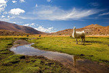 The Beauty of Chile, Argentine and Bolivia caught in images