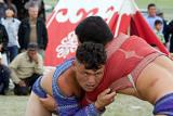 Mongolian wrestling