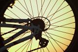 A silhouette of a bicycle wheel on the beach at sun set