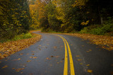 Fall road