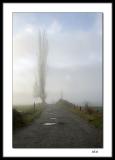 Tall tree in the mist