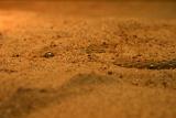 Sand Eye.jpg