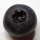 Blueberry