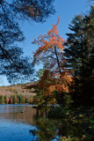 Lake Saint Catherine State Park, Vermont