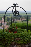 Ivy-covered well, upper terrace