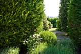 Garden adjacent to pool