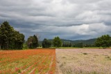 Near Isle-sur-la-Sorgue