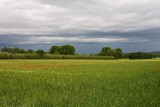 Near LIsle-sur-la-Sorgue