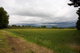 Near LIsle-sur-la-Sorgue