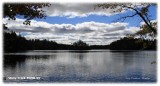 Stony Creek Ponds NY