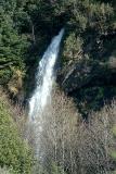 Spruce Falls (01-18-06)