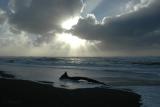 Sun Rays n Sea Foam