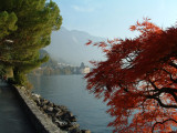 Montreaux - walking along Lake Geneva