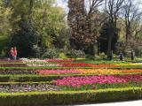 Botanic Garden