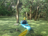 Rio Istiam, Isla de Ometepe