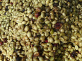 Coffee beans, Miraflor