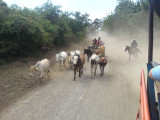 Farmers, outside Leon