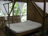 My room in jungle lodge Inotawa (Tambopata Nature Reserve)