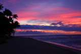 Hawaiian palms in the sunset, Ka'anapali, Maui, Hawaii, USA