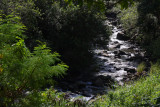 Iao Valley State Park, Maui, Hawaii, USA