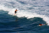 Watch him ride that wave, Hookipa, Maui, Hawaii, USA