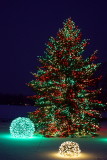Blurring out the snow - Merry Christmas!, Chicago Botanical Garden