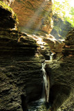 Sunlight highlights, Watkins Glen State Park, NY