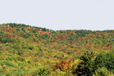 End of September fall foliage, White Mountain National Forest, NH