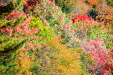 Fall colors, New Hampshire, 2009, Franconia Notch State Park, NH