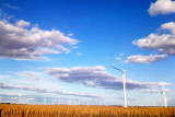 Windmills, Indiana