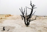 Snow in Mammoth Hot Springs - Yellowstone National Park