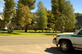 Park Ranger at Mammoth - Yellowstone National Park