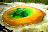 Morning Glory Pool, Upper Geyser Basin - Yellowstone National Park