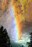 Rainbow at the Upper Falls - Yellowstone National Park