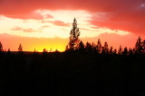 Sunset - Yellowstone National Park
