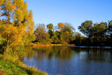 Morton Arboretum - Marmo Lake