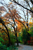 Rock Cut State Park, Illinois - Fall Colors