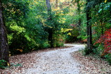 Rock Cut State Park, Illinois - Winding trail