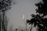 Rock Cut State Park, Illinois - the moon is out