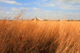 Prophetstown State Park, IN