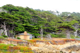 17 Mile Drive, Monterey, California