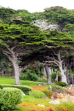 17 Mile Drive, Monterey, California