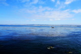 Monterey Bay, California