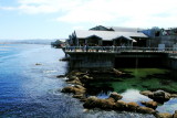 Monterey Bay Aquarium, California