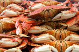 Crab, Fishermans Wharf, San Francisco