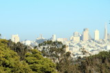 San Francisco skyline