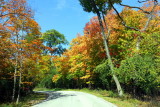 Deer Grove Forest Preserve, Palatine, IL - Fall colors