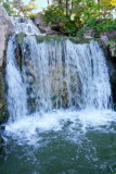 Chicago Botanic Garden - Waterfall garden